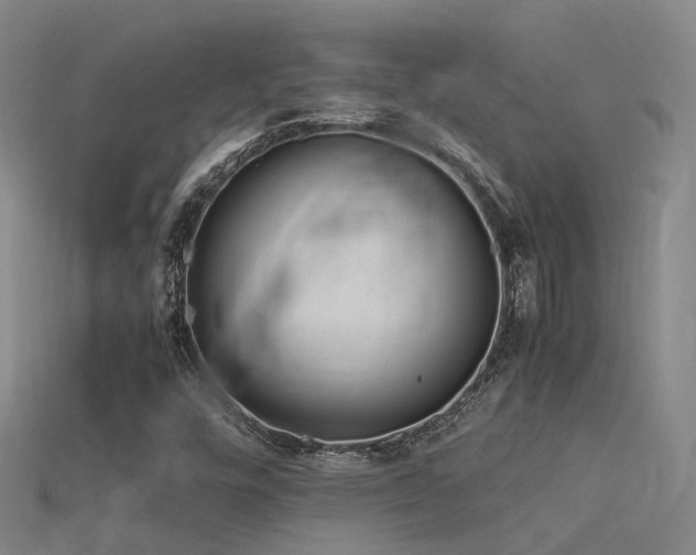 X0000115821448200911131435