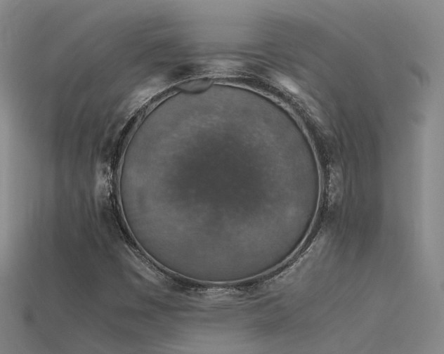 X0000115821449200911131435