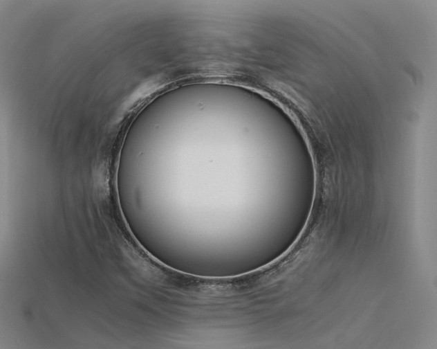 X0000115821451200911131435