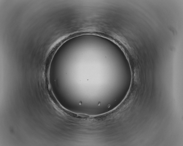 X0000115821452200911131435