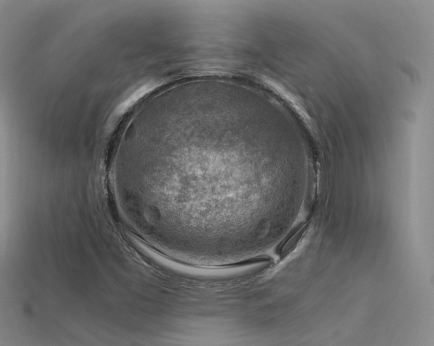 X0000115821453200911131435