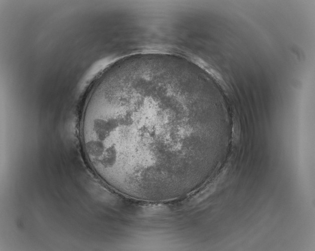 X0000115821454200911131435