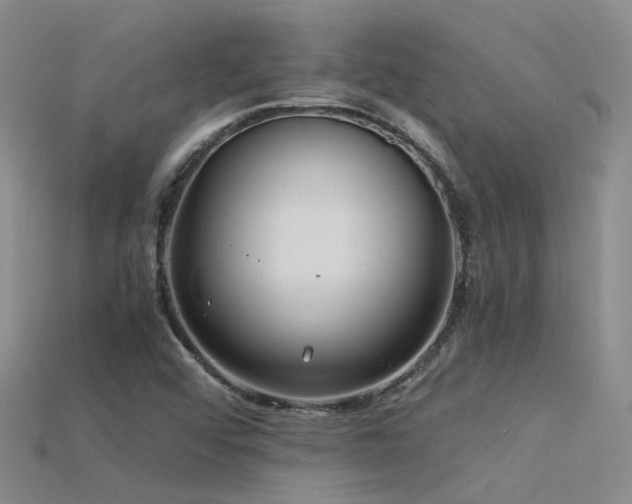 X0000115821456200911131435