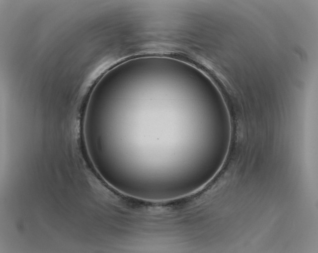 X0000115821459200911131435