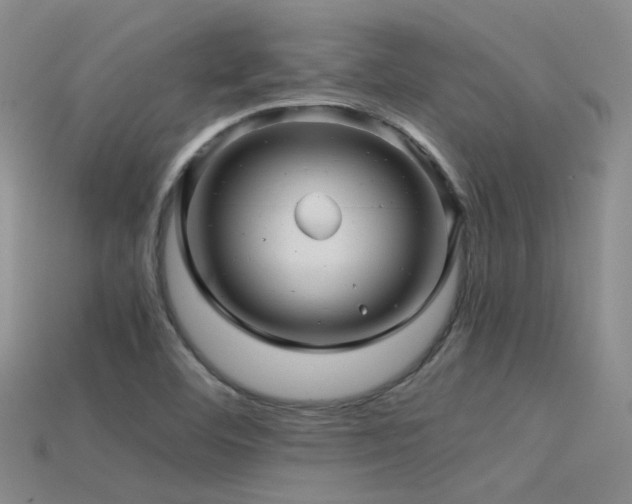 X0000115821460200911131435