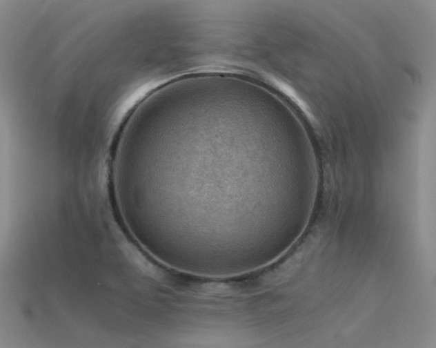 X0000115821463200911131435