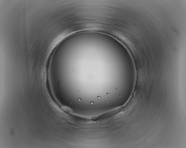 X0000115821467200911131435