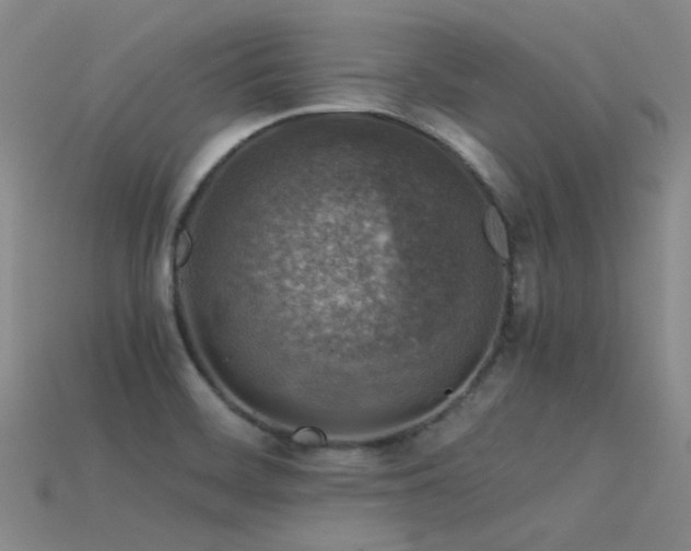 X0000115821468200911131435