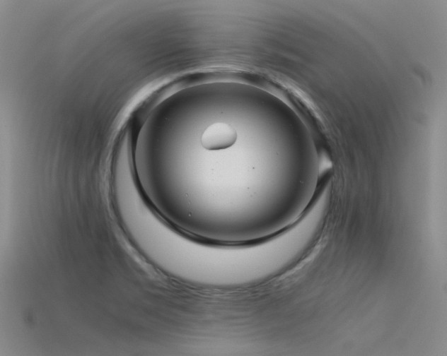 X0000115821469200911131434