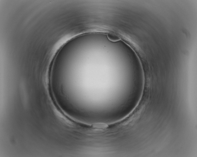 X0000115821471200911131434