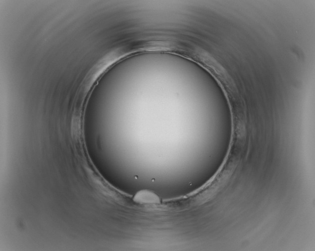 X0000115821473200911131434