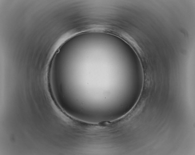 X0000115821475200911131434