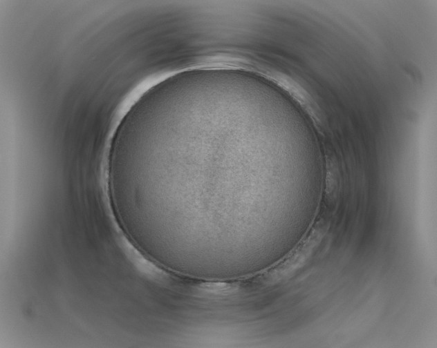 X0000115821478200911131434