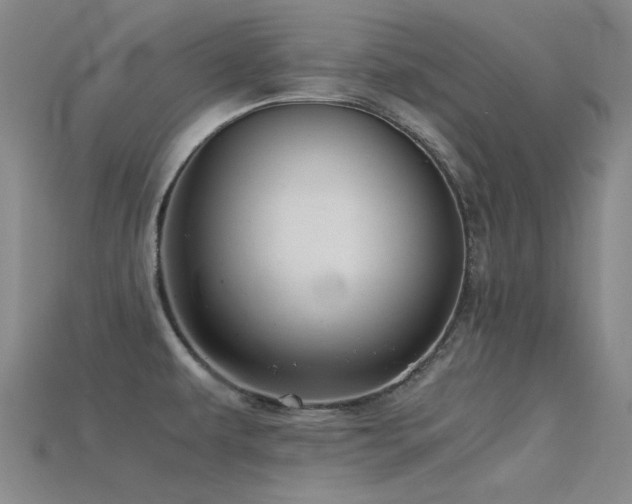 X0000115821479200911131434