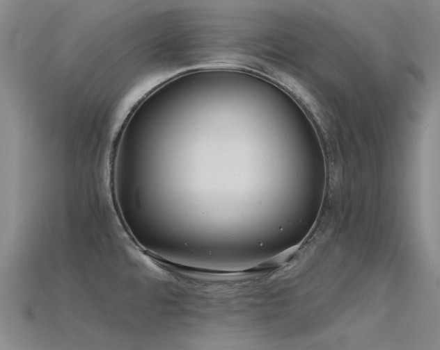 X0000115821480200911131434