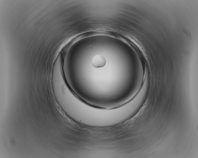 X0000115821481200911131434