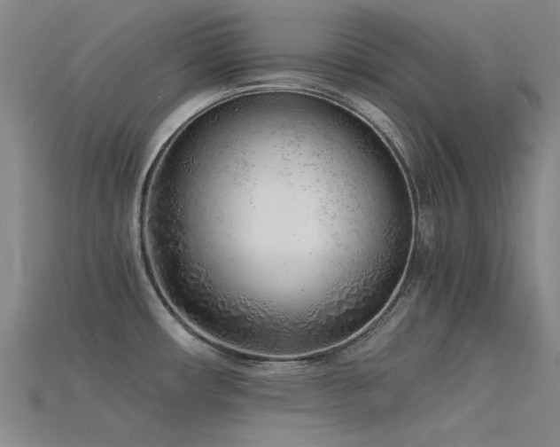 X0000115821482200911131434