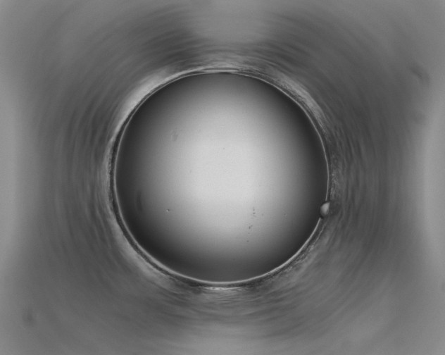 X0000115821483200911131434