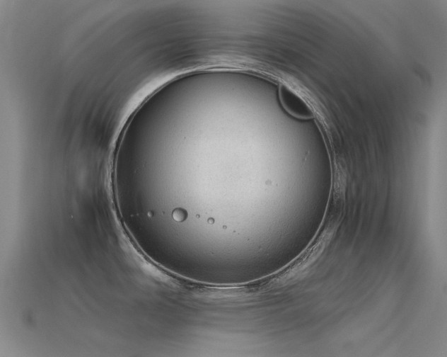 X0000115821486200911131434