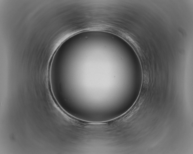 X0000115821487200911131434