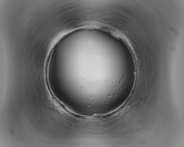 X0000115821488200911131434