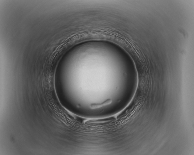 X0000115821490200911131433