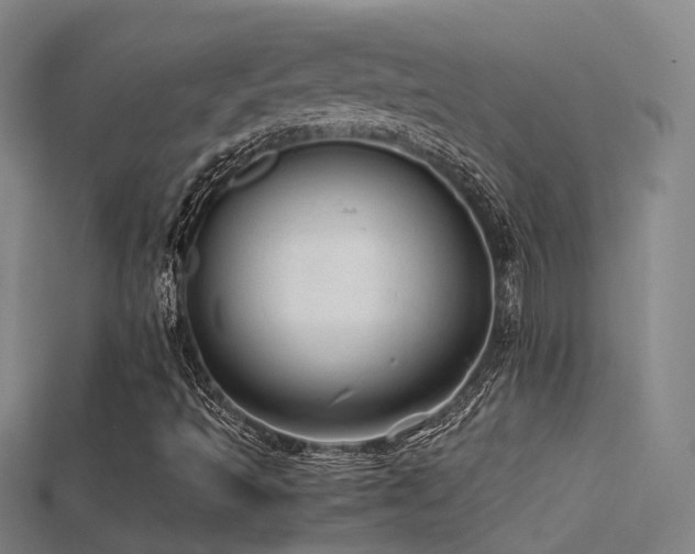 X0000115821493200911131433