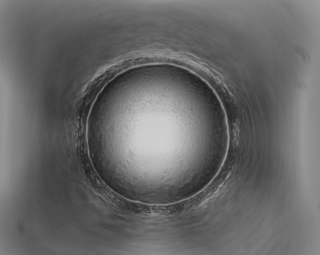 X0000115821494200911131433