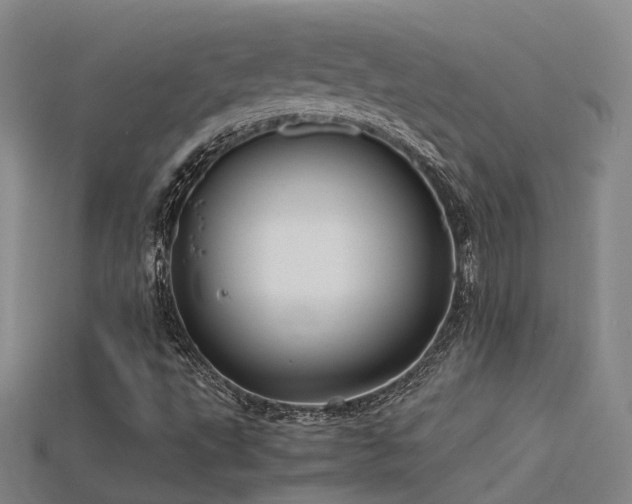 X0000115821495200911131433