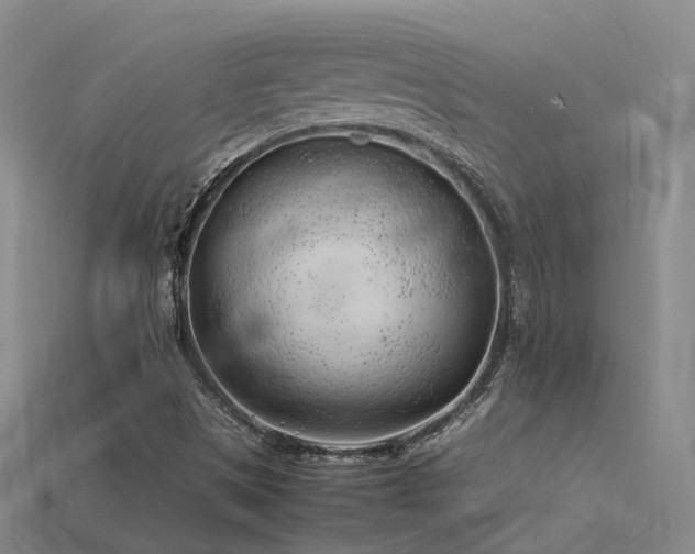 X0000115821497200911131433