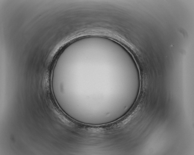 X0000115821498200911131433