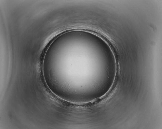 X0000115821501200911131433