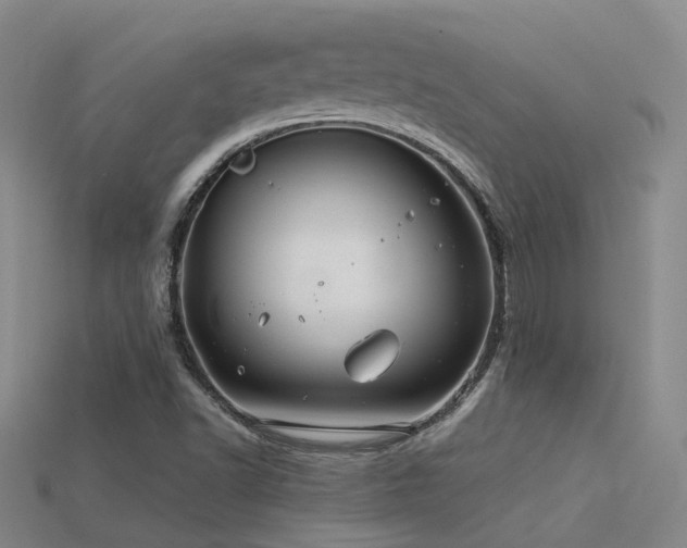 X0000115821502200911131433