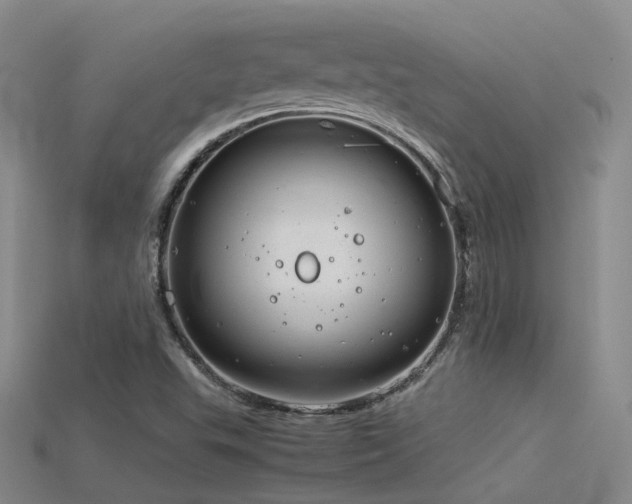 X0000115821503200911131433