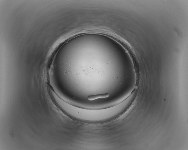 X0000115821506200911131434