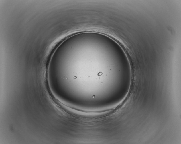 X0000115821507200911131434