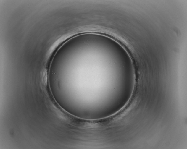 X0000115821509200911131434