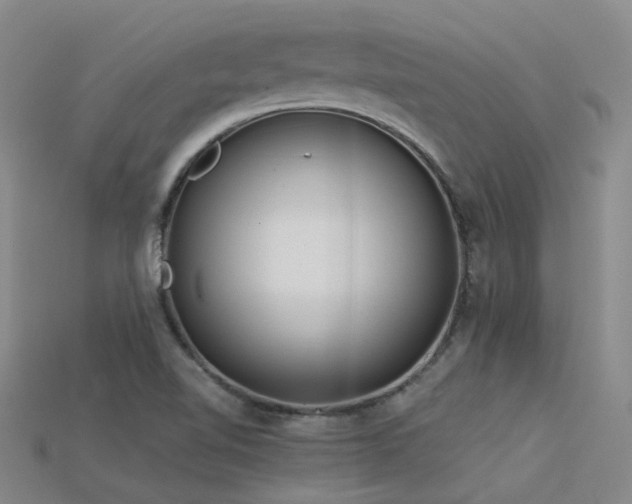 X0000115821510200911131434