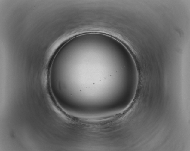 X0000115821511200911131434