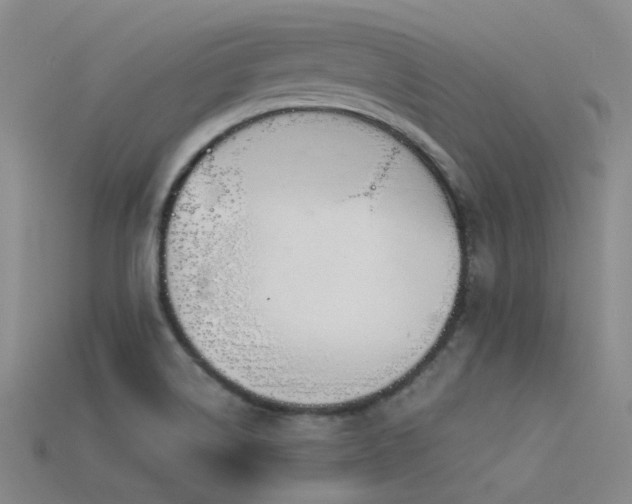 X0000115821514200911131434