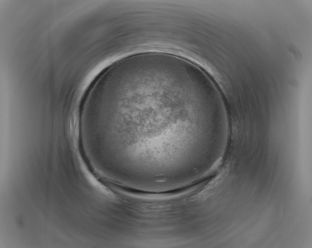 X0000115821515200911131434