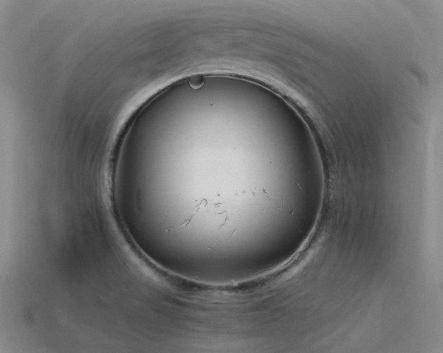 X0000115821517200911131434