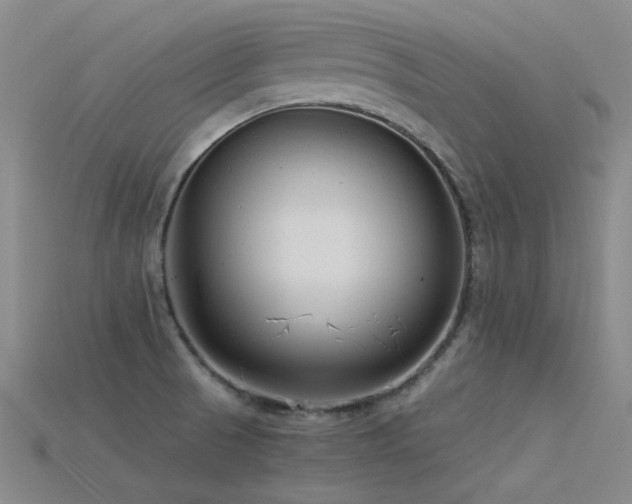 X0000115821521200911131434