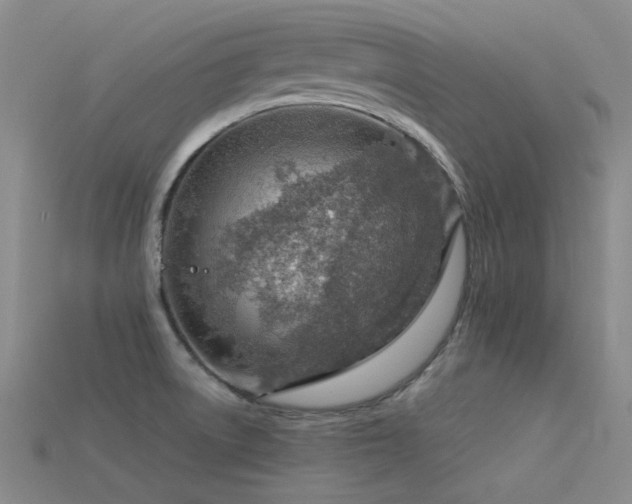 X0000115821522200911131434