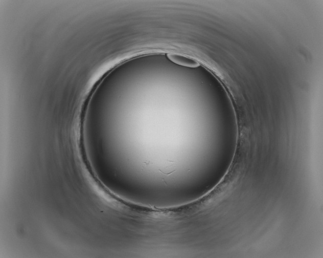 X0000115821523200911131434