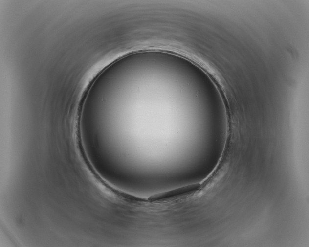 X0000115821525200911131434