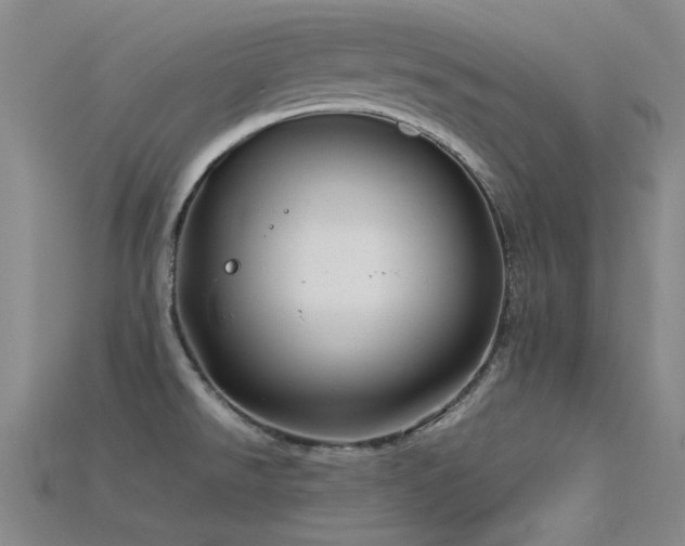 X0000115821526200911131434