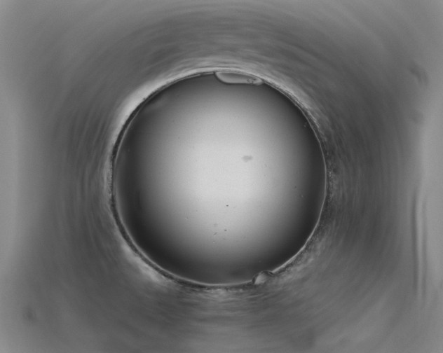 X0000115821527200911131434