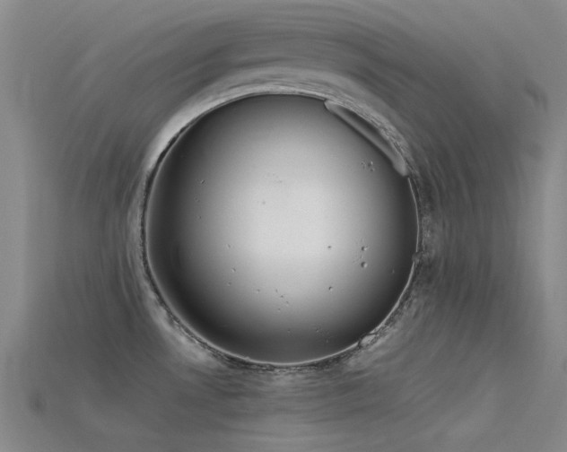 X0000115821530200911131434