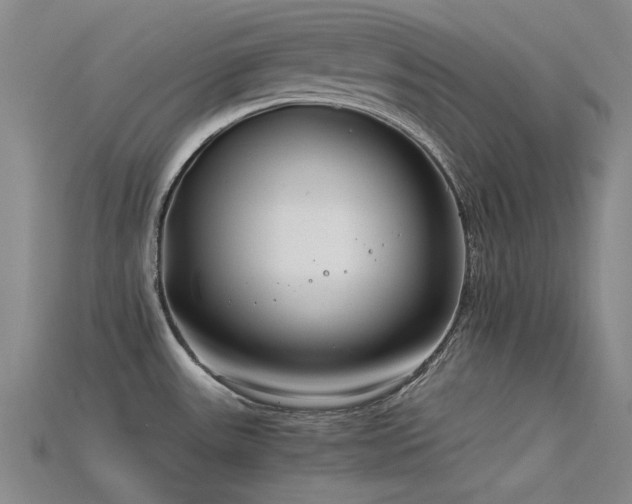 X0000115821531200911131434